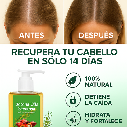 Batana power shampoo™ – Recupera tu cabello en solo 14 días